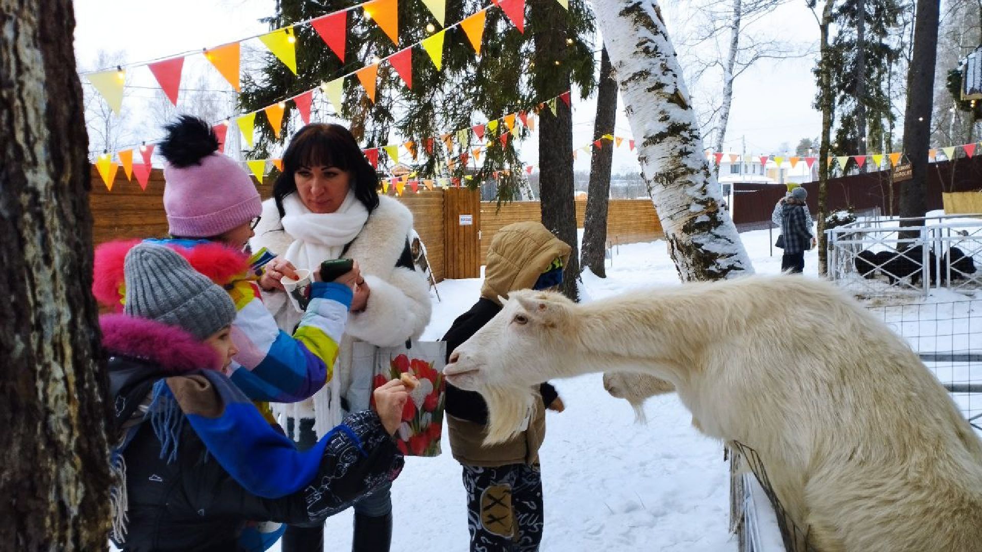 вертикалки, пушкино, экологический проект, животные, дети, спектакль, традиции, ферма,