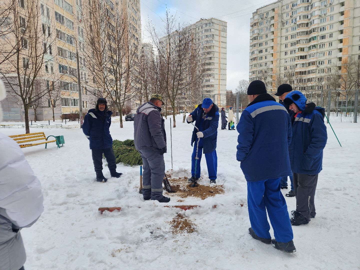 подольск, ёлка, праздник, новый год, вертикалки,