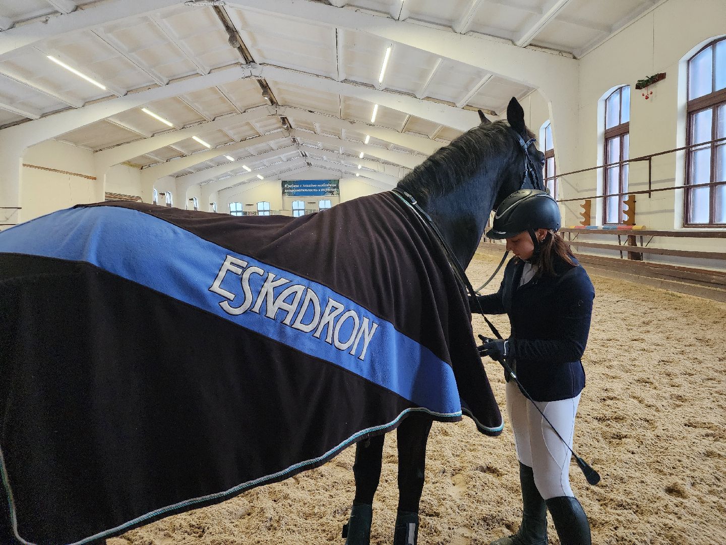 подольск, спорт, кони, конкур,