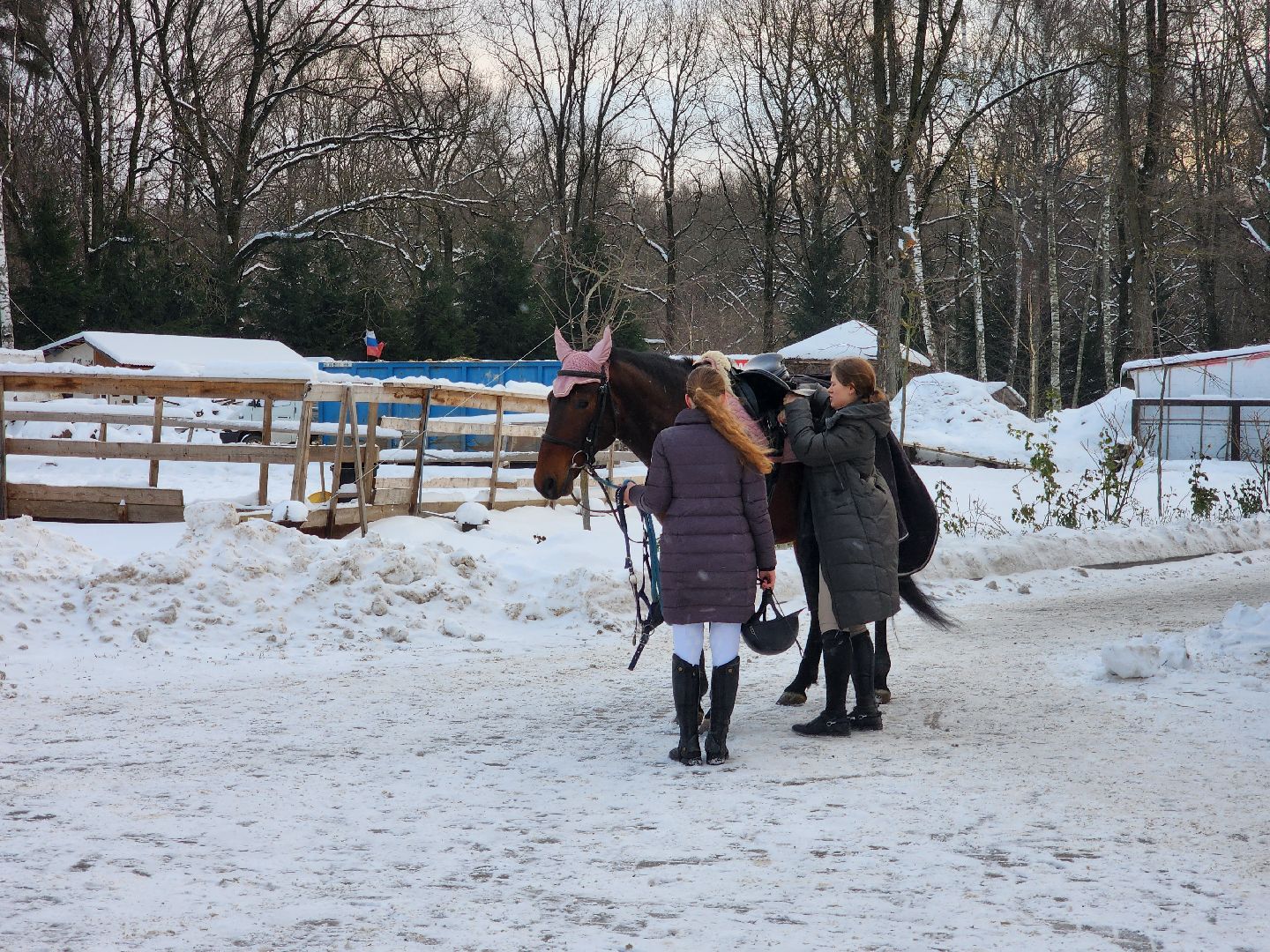 подольск, спорт, кони, конкур,
