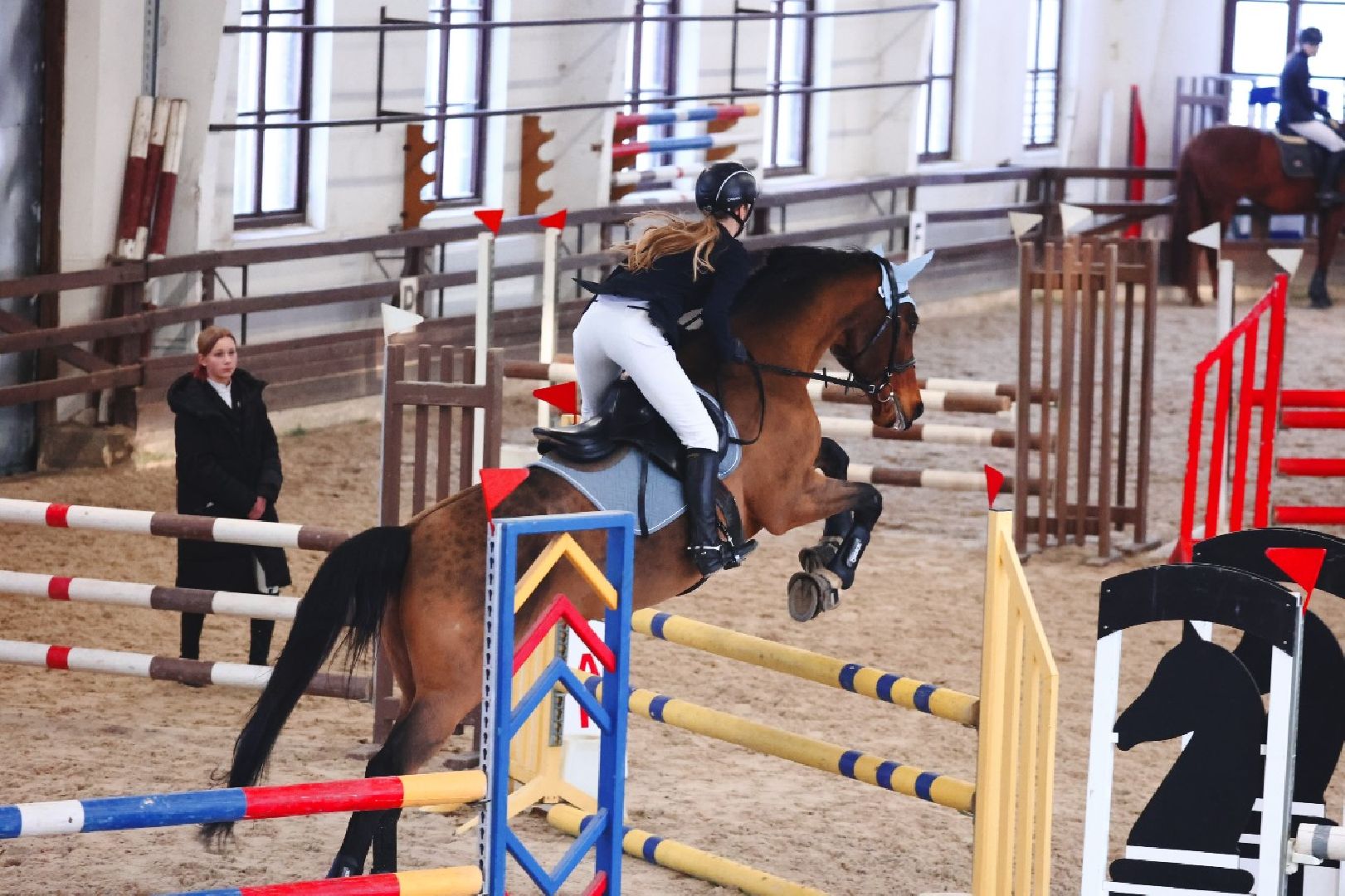 подольск, спорт, кони, конкур,