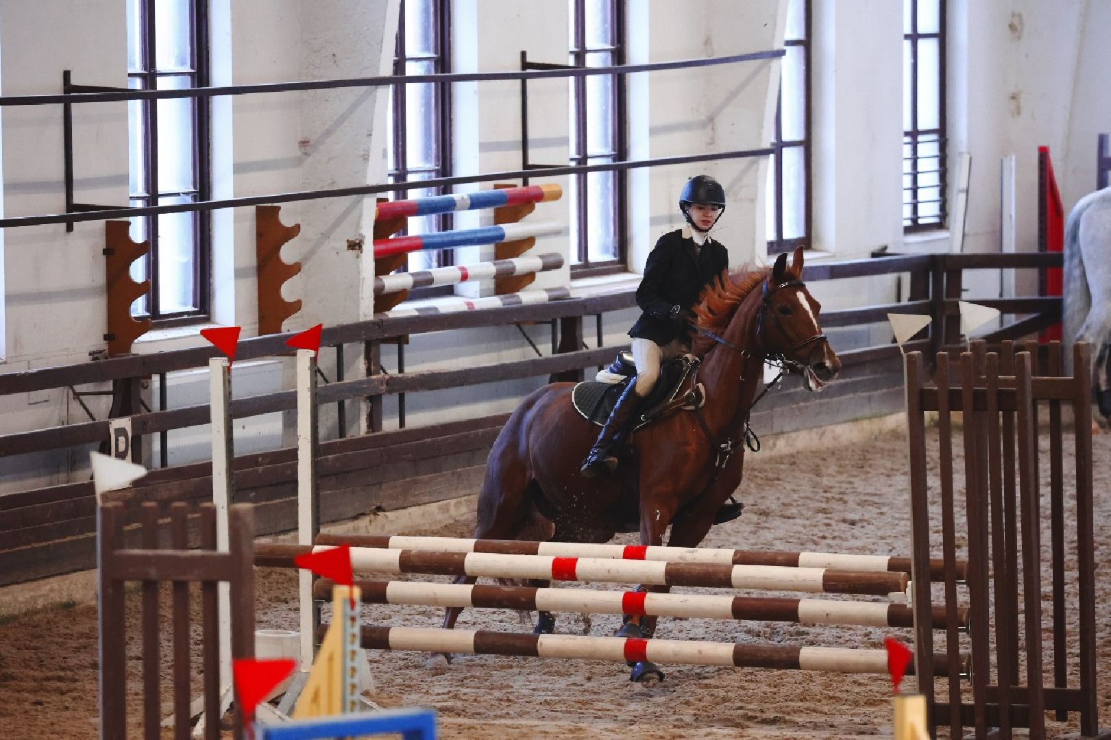 подольск, спорт, кони, конкур,