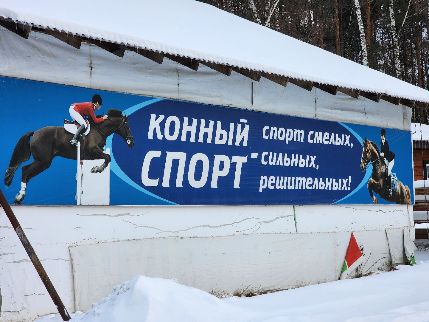 подольск, спорт, кони, конкур,