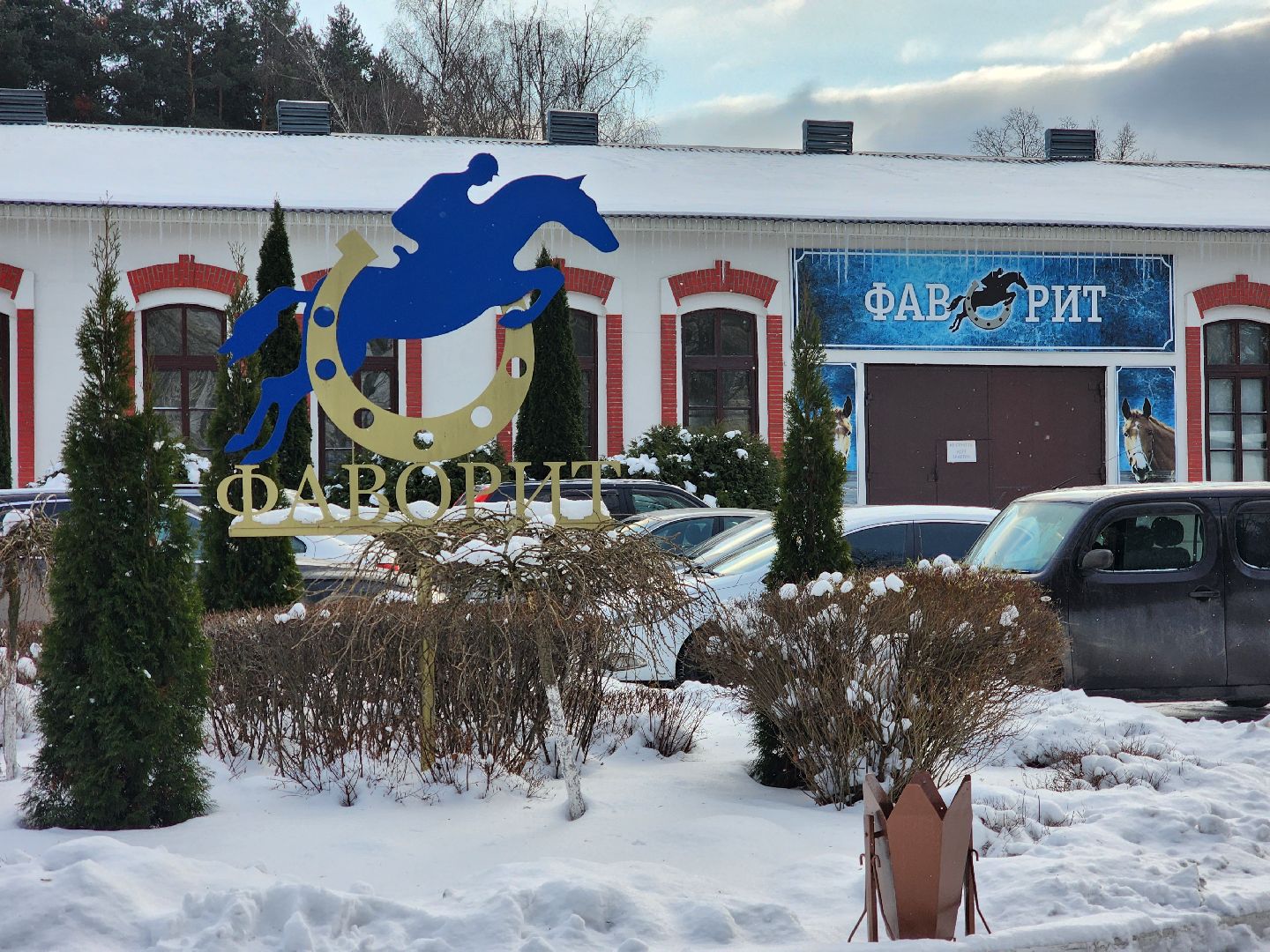 подольск, спорт, кони, конкур,