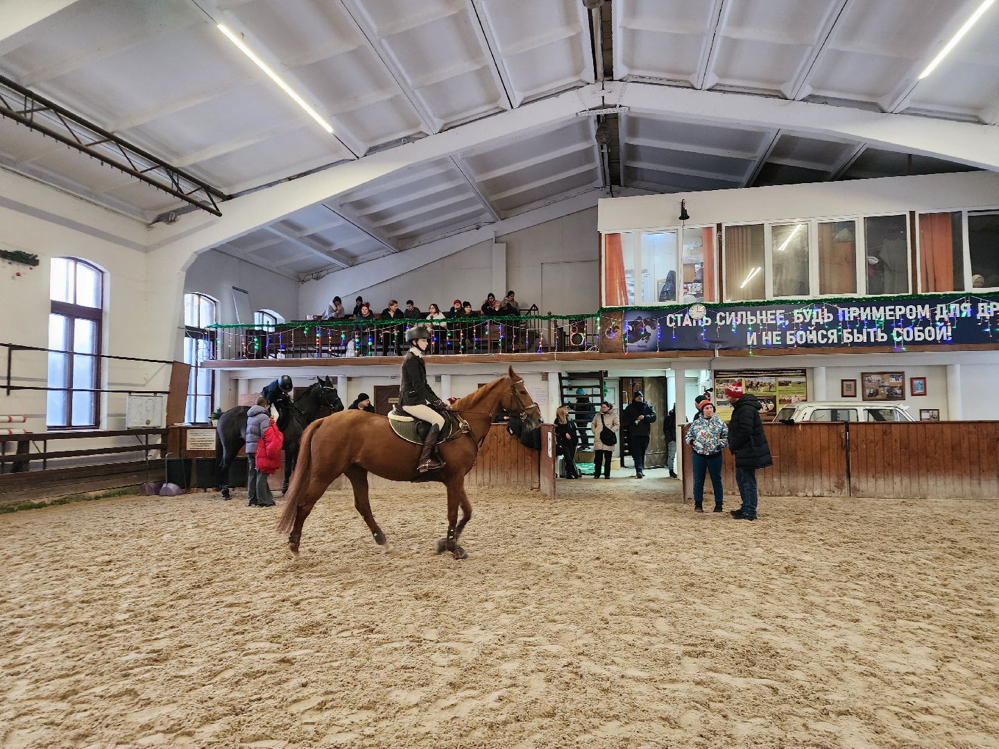 подольск, спорт, кони, конкур,