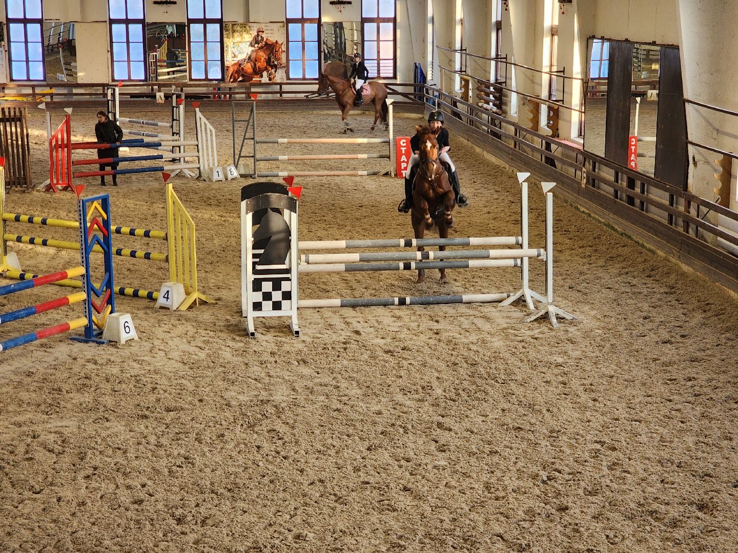 подольск, спорт, кони, конкур,