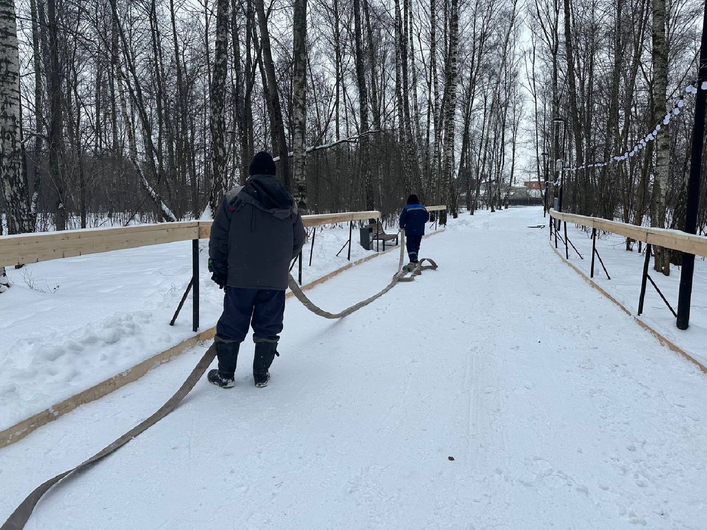 каток в парке, парки домодедово,