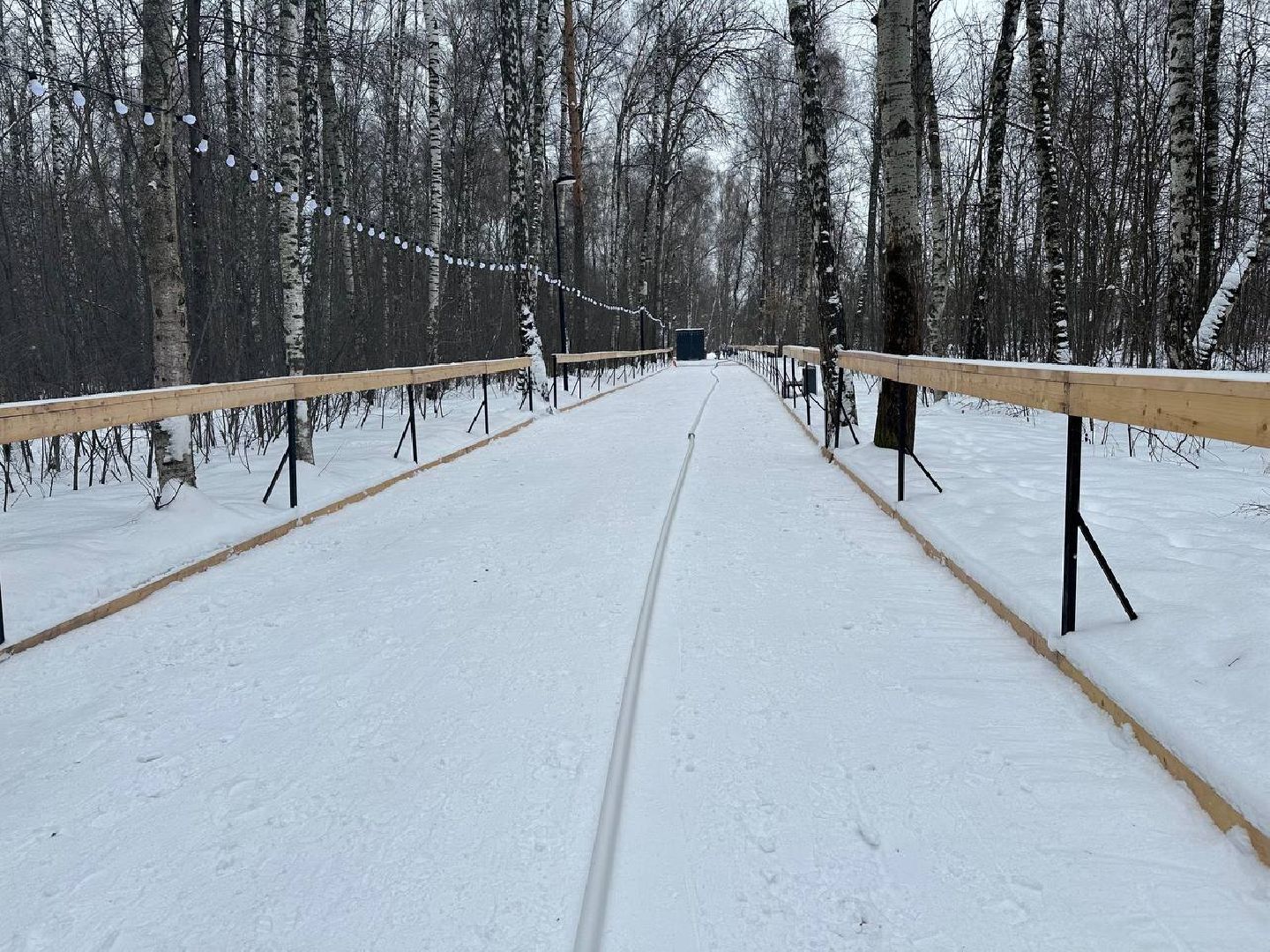 каток в парке, парки домодедово,