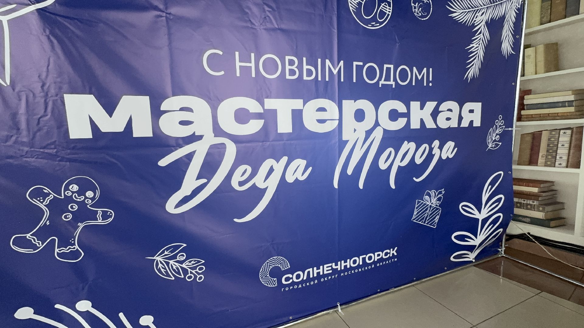 Солнечногорск, Мастерская деда мороза, Акция, вертикалки, Жители,