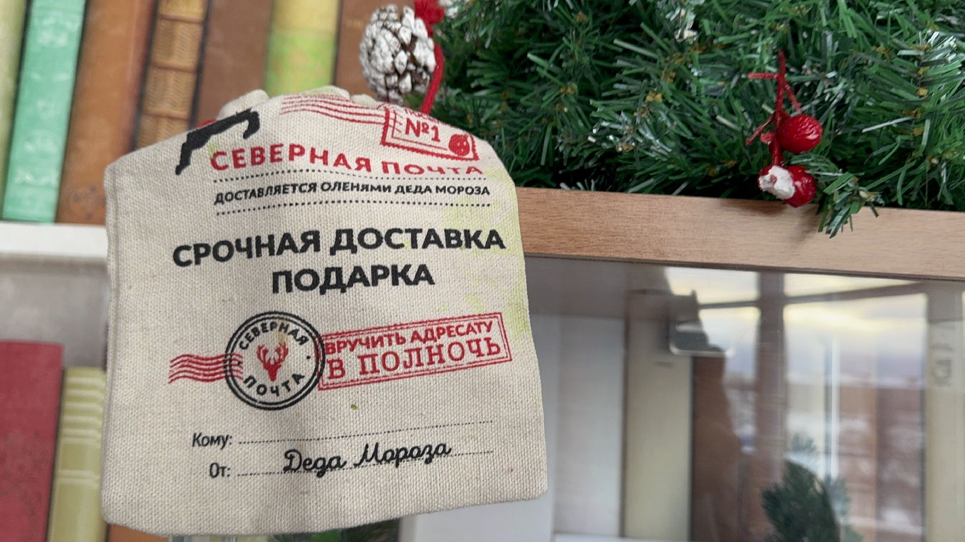 Солнечногорск, Мастерская деда мороза, Акция, вертикалки, Жители,