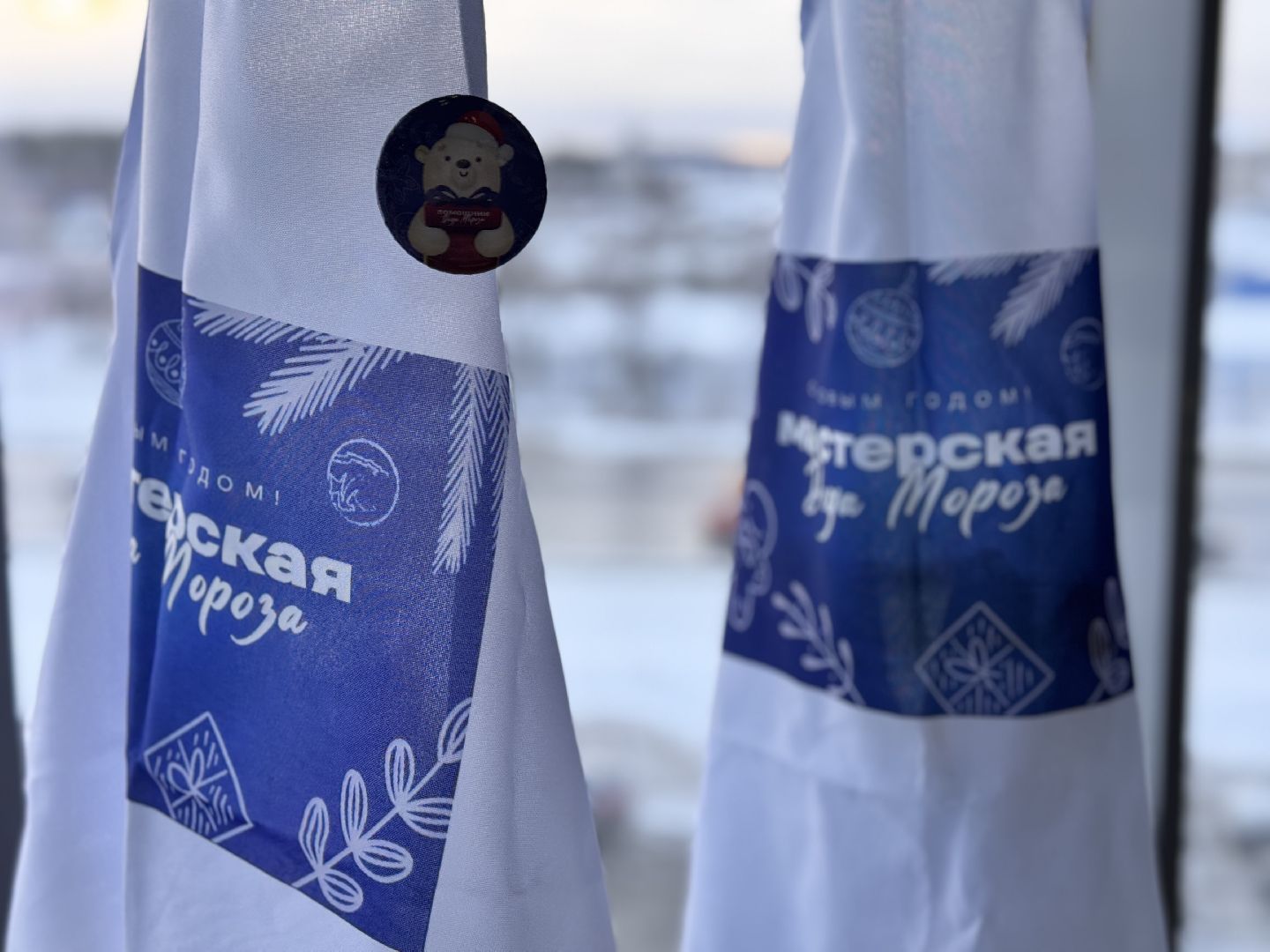 Солнечногорск, Мастерская деда мороза, Акция, вертикалки, Жители,