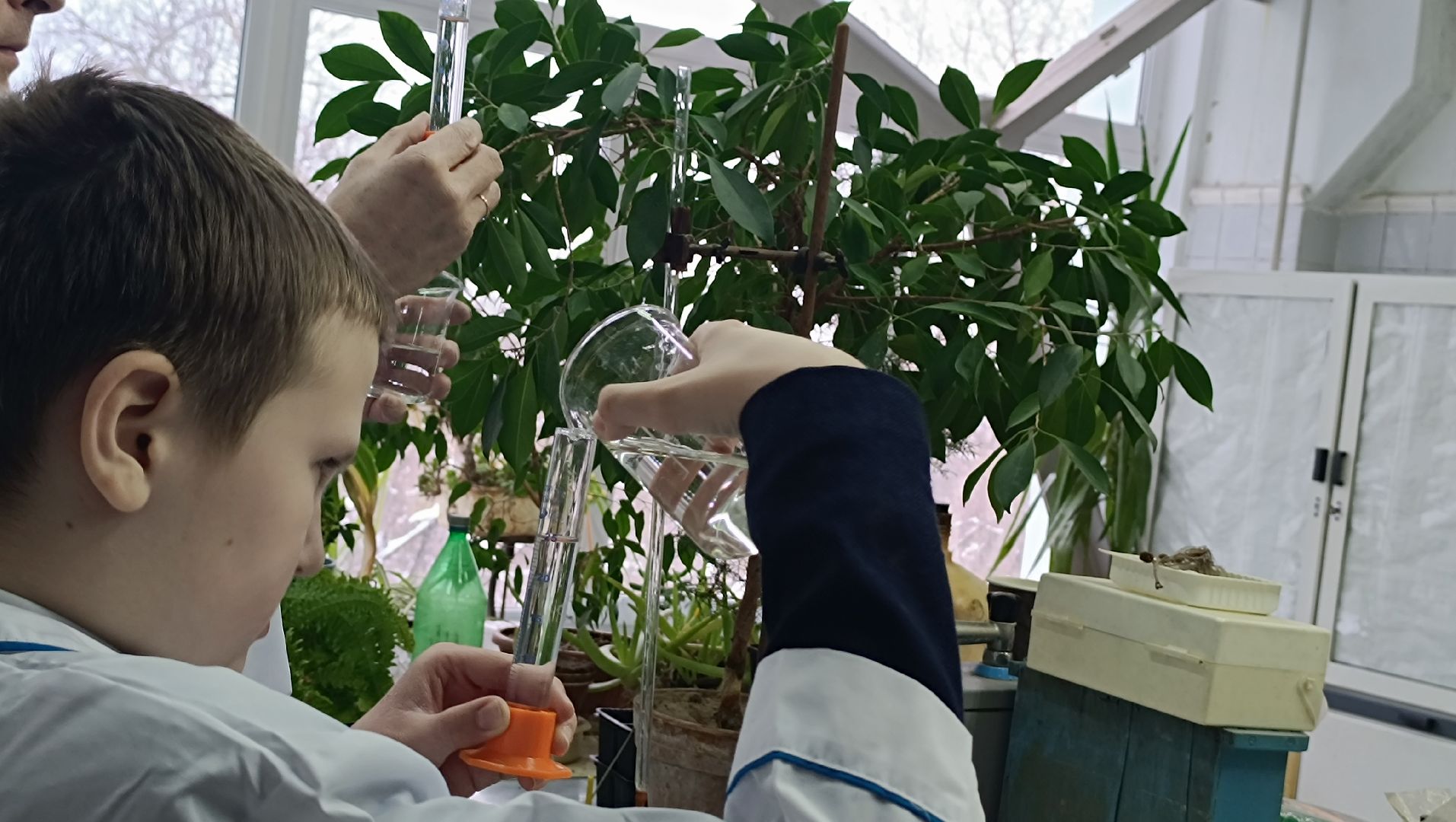 опыты, сельское хозяйство, лобня,