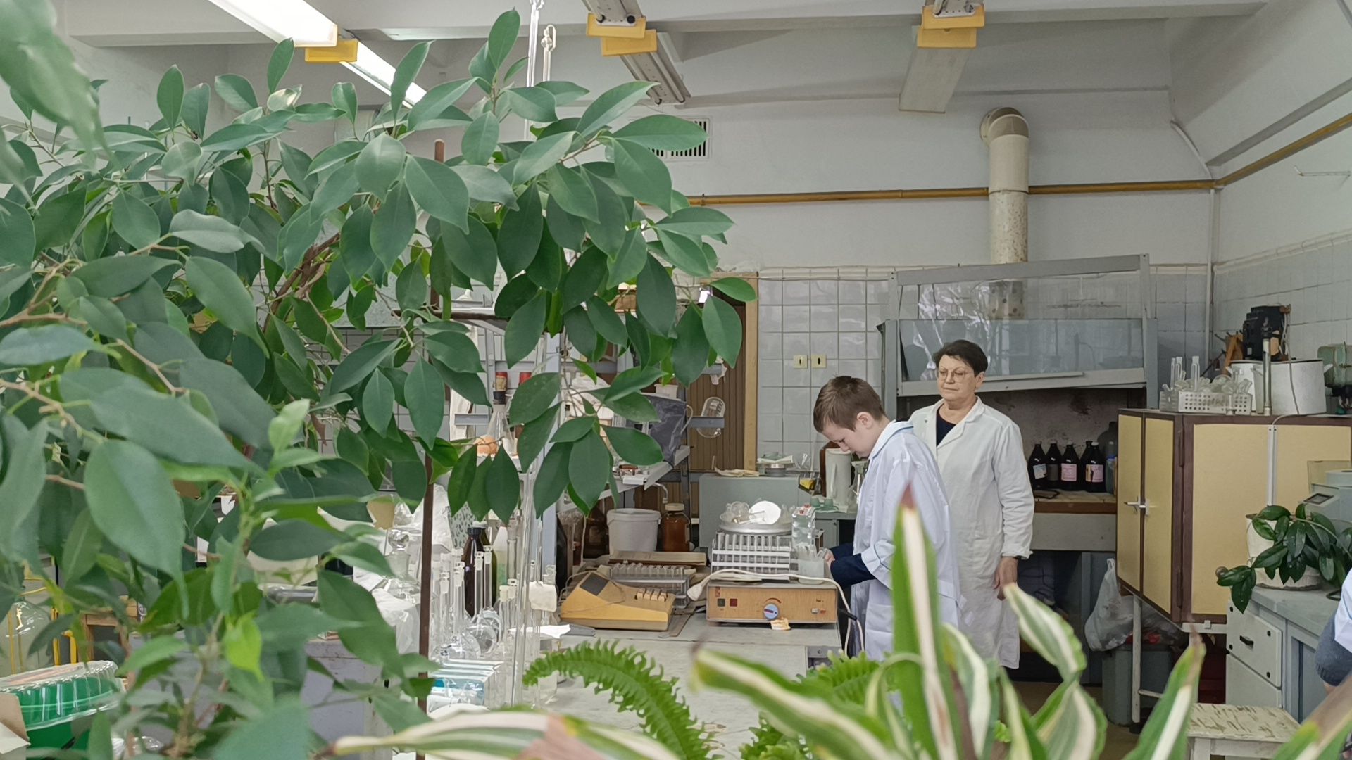 опыты, сельское хозяйство, лобня,