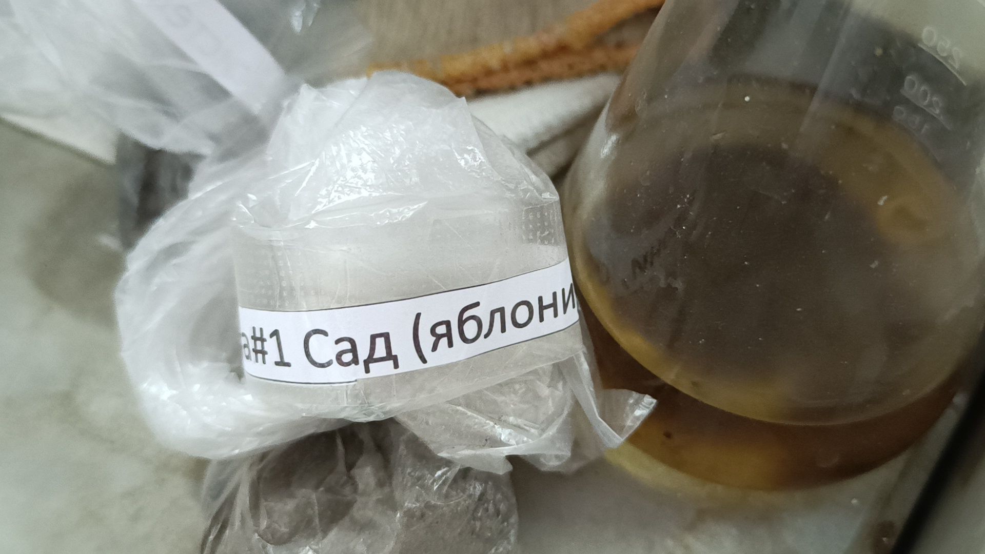 опыты, сельское хозяйство, лобня,