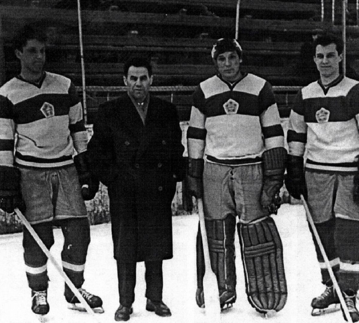 воскресенск, спорт, общество,