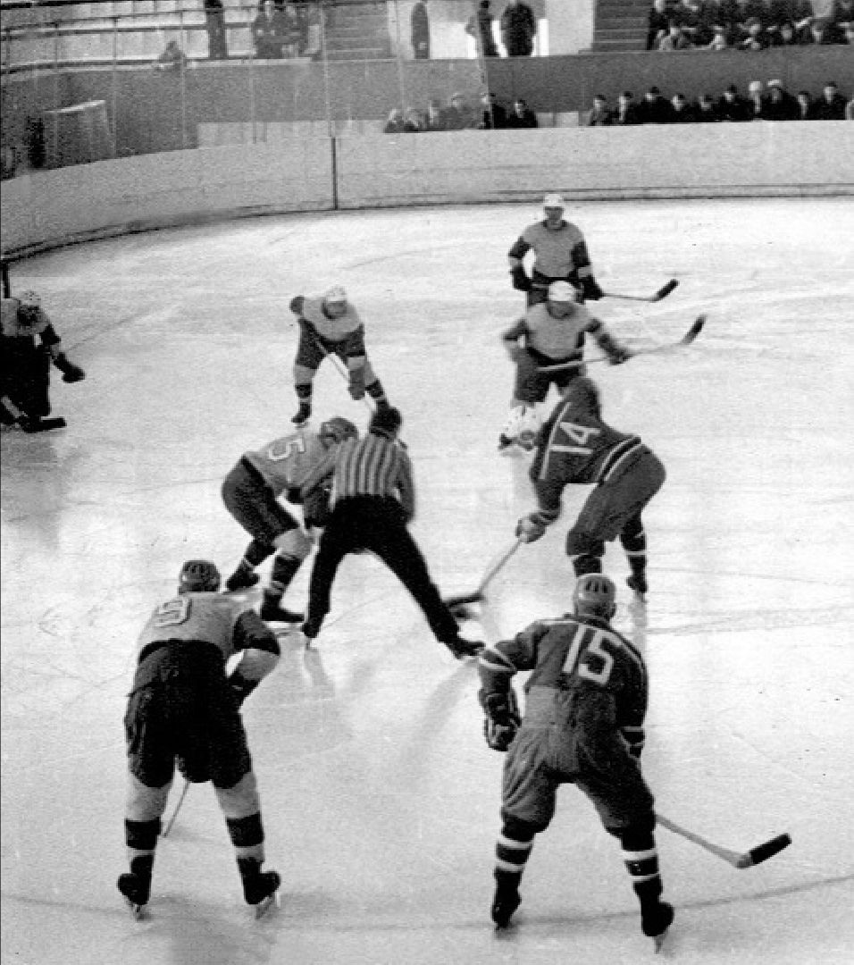 воскресенск, спорт, общество,