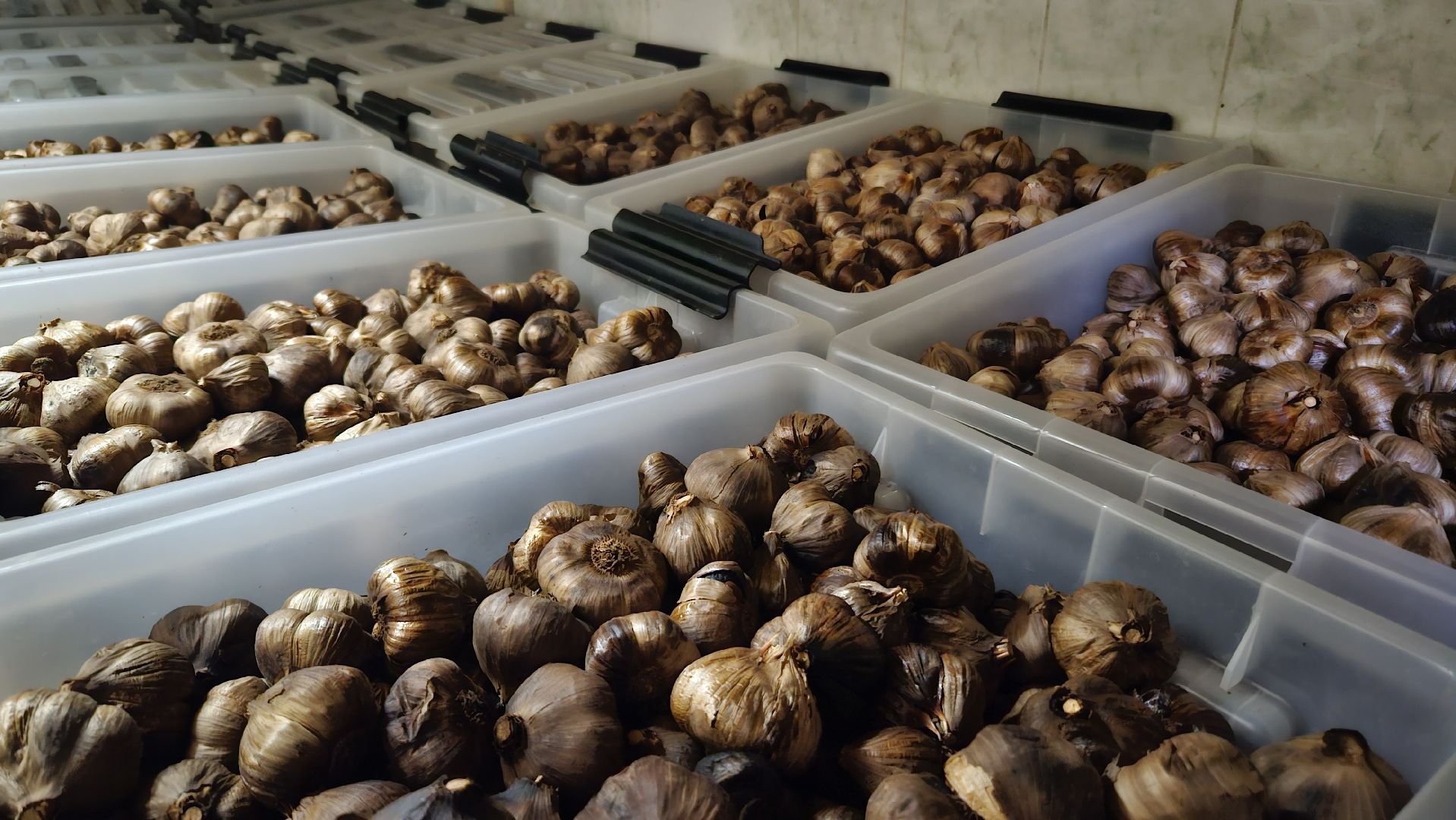 Экономика, Жуковский, Предприятия, Бизнес,