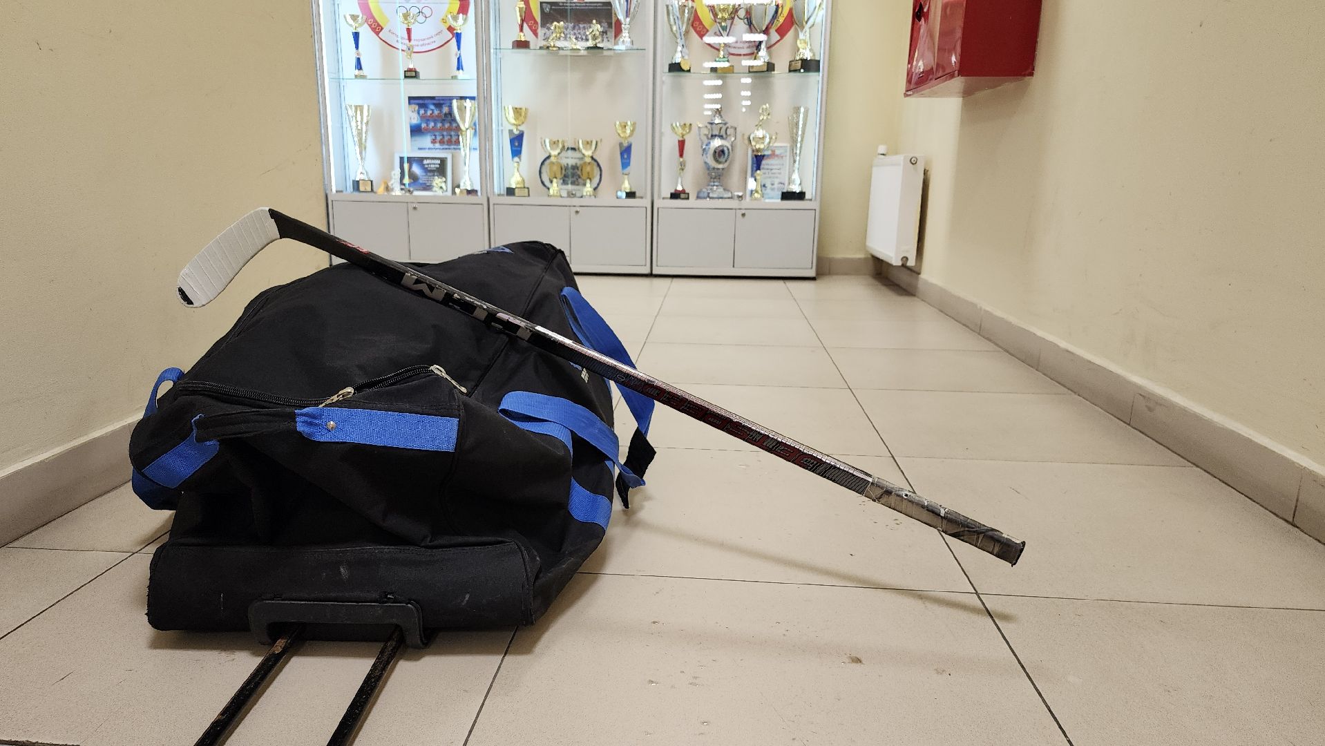 СШОР, ФОК, спортивная школа олимпийского резерва, Ногинск, Богородский городской округ,