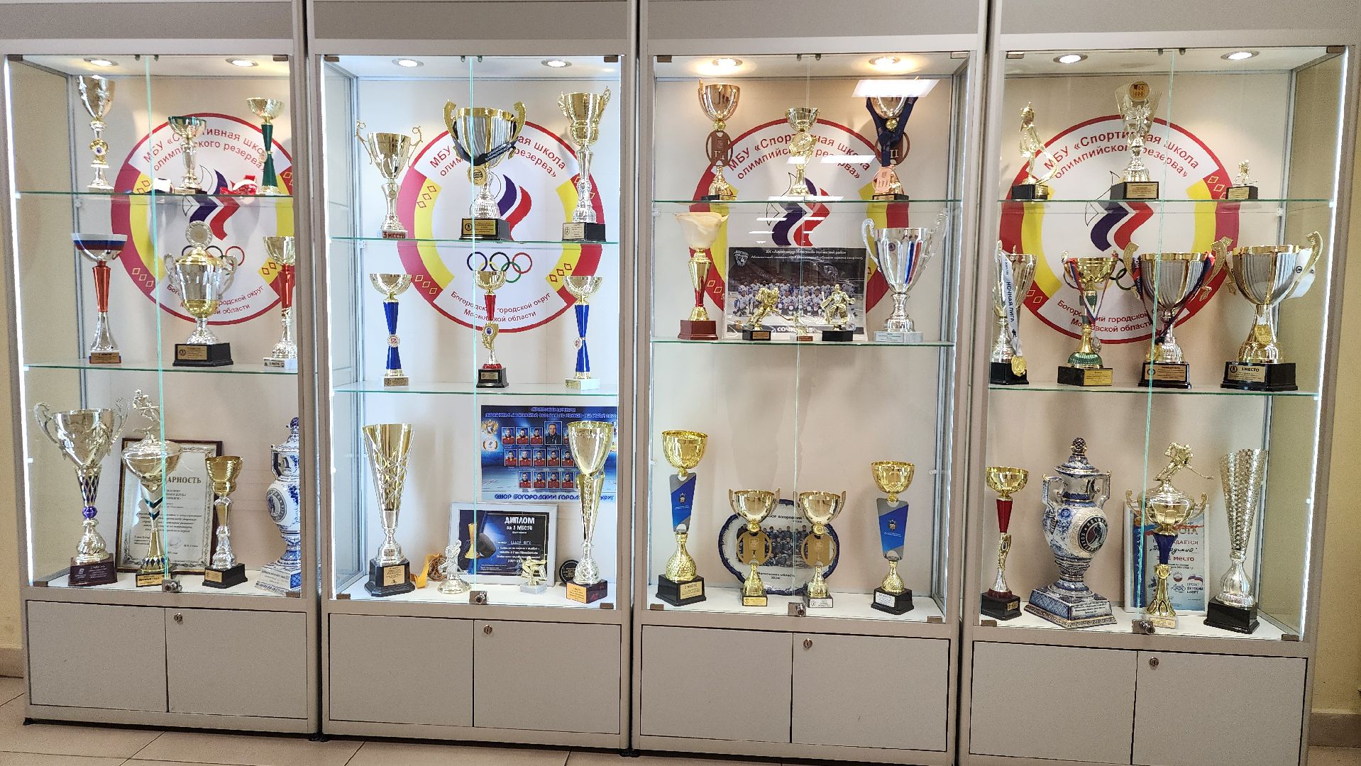 СШОР, ФОК, спортивная школа олимпийского резерва, Ногинск, Богородский городской округ,