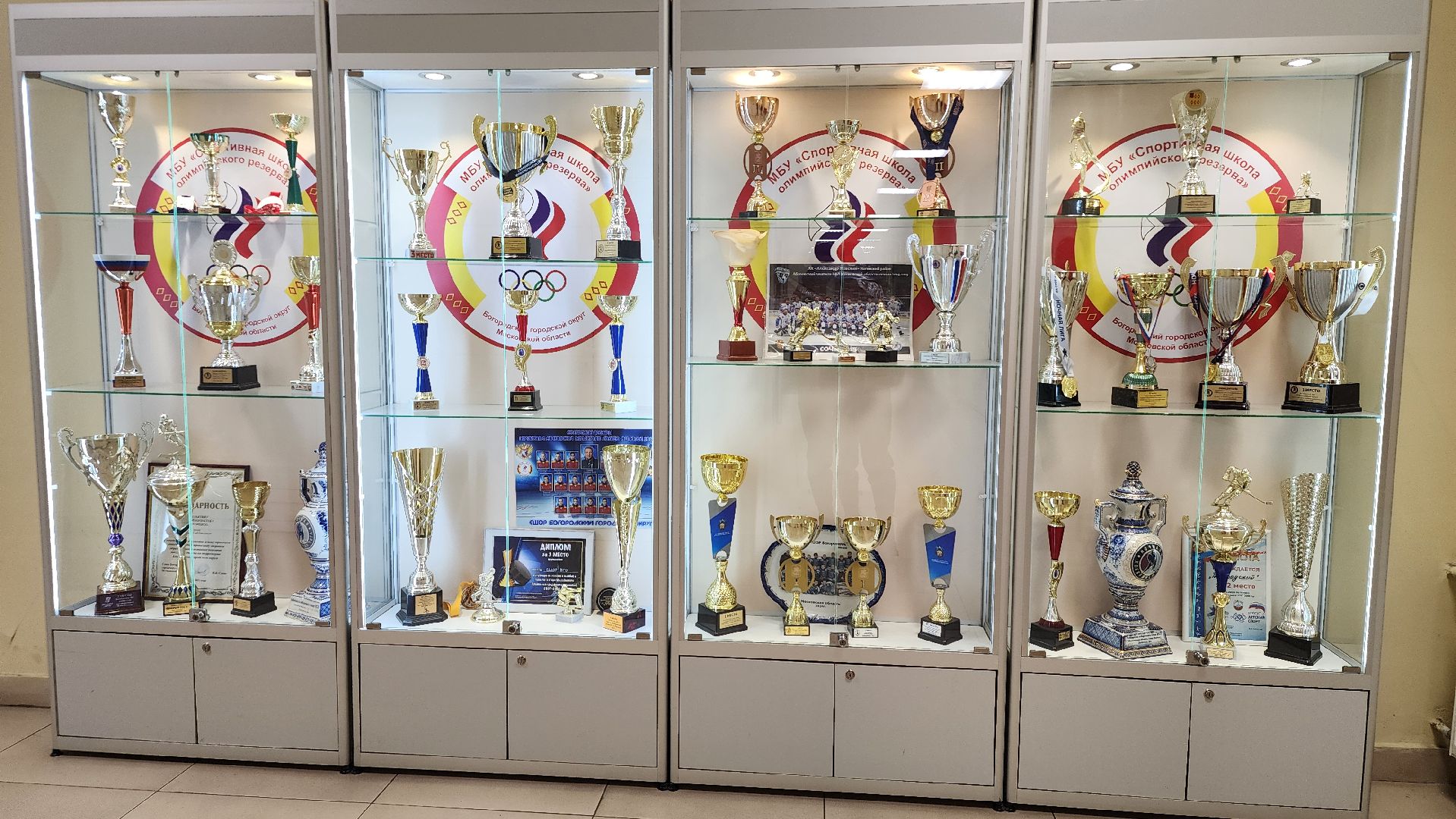 СШОР, ФОК, спортивная школа олимпийского резерва, Ногинск, Богородский городской округ,