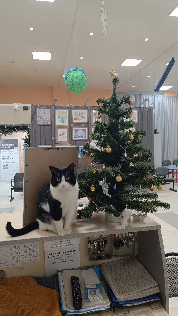 новый 2025 год, лобня, культура,