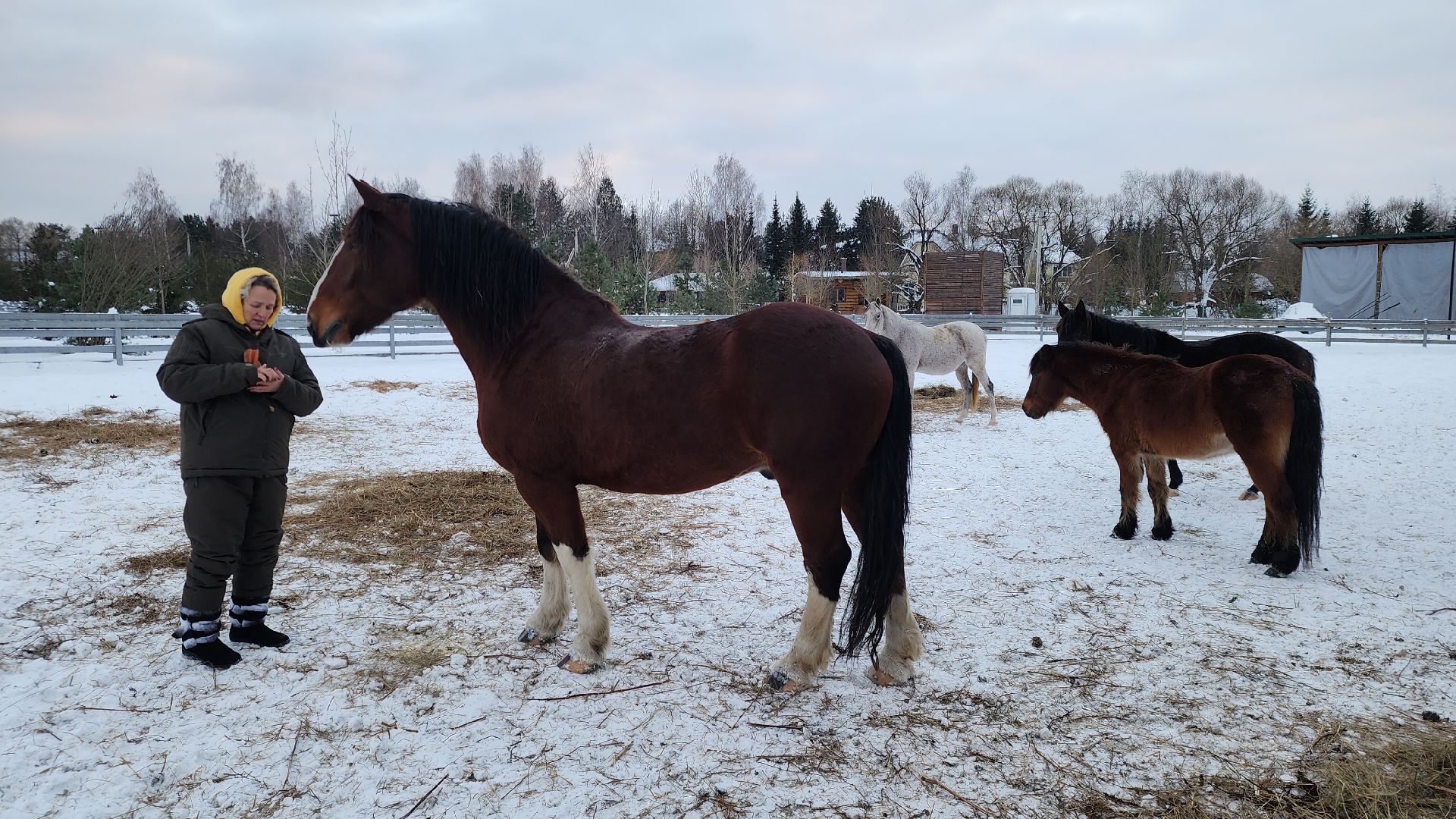 туризм в подмосковье, зимний отдых, зимняя рыбалка, конные прогулки, банный комплекс, вертикалка,