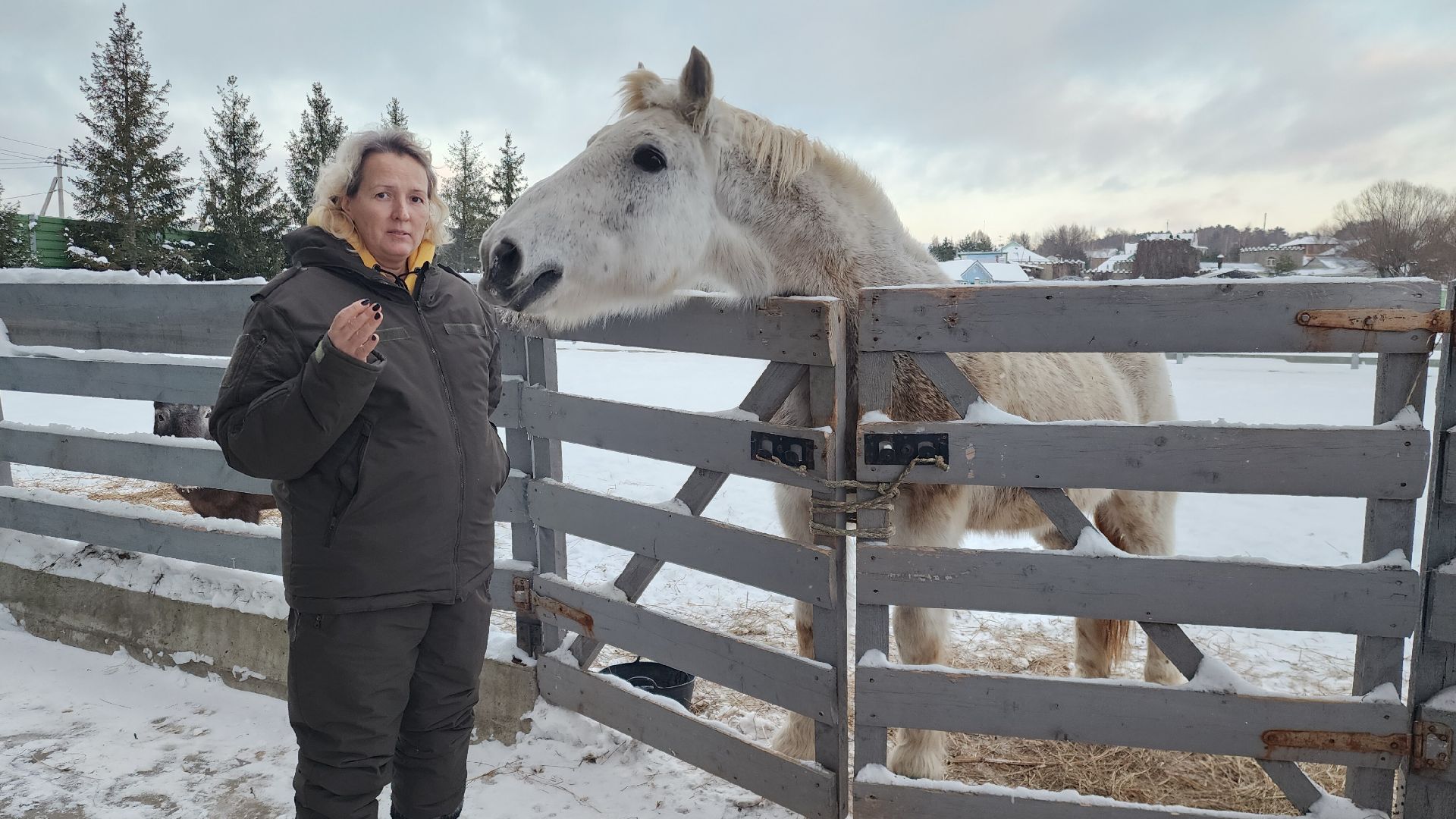 туризм в подмосковье, зимний отдых, зимняя рыбалка, конные прогулки, банный комплекс, вертикалка,