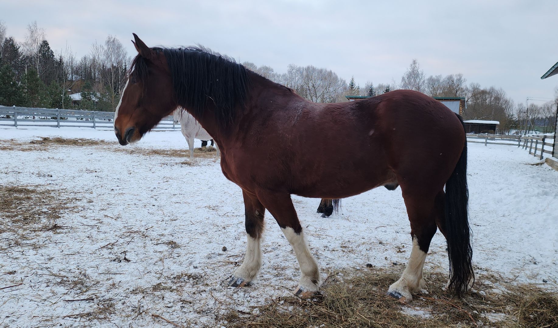 туризм в подмосковье, зимний отдых, зимняя рыбалка, конные прогулки, банный комплекс, вертикалка,