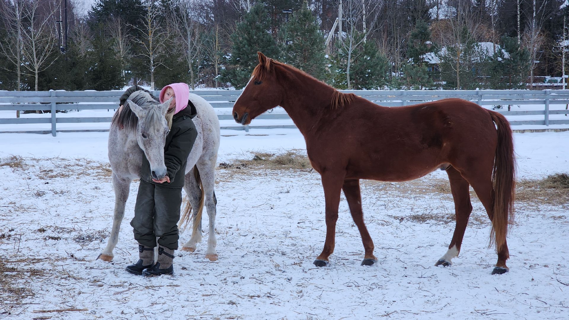 туризм в подмосковье, зимний отдых, зимняя рыбалка, конные прогулки, банный комплекс, вертикалка,