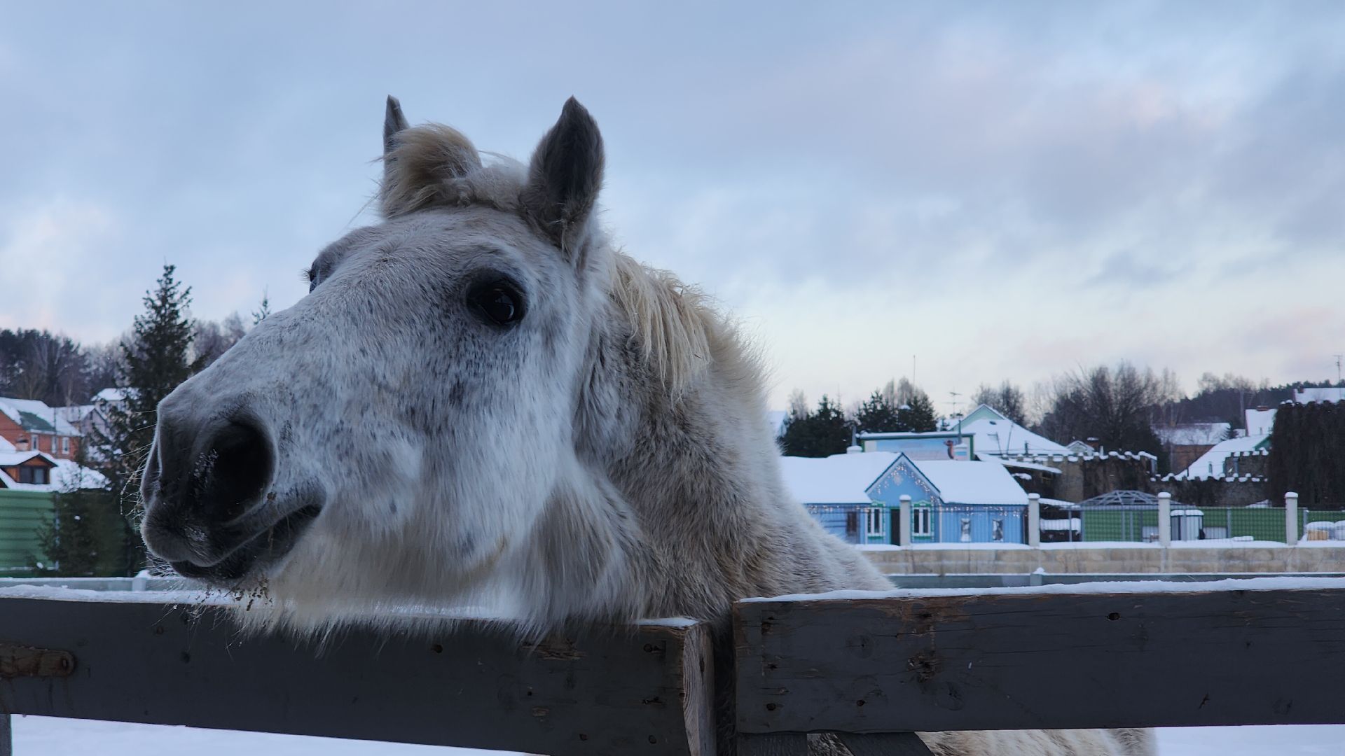 туризм в подмосковье, зимний отдых, зимняя рыбалка, конные прогулки, банный комплекс, вертикалка,