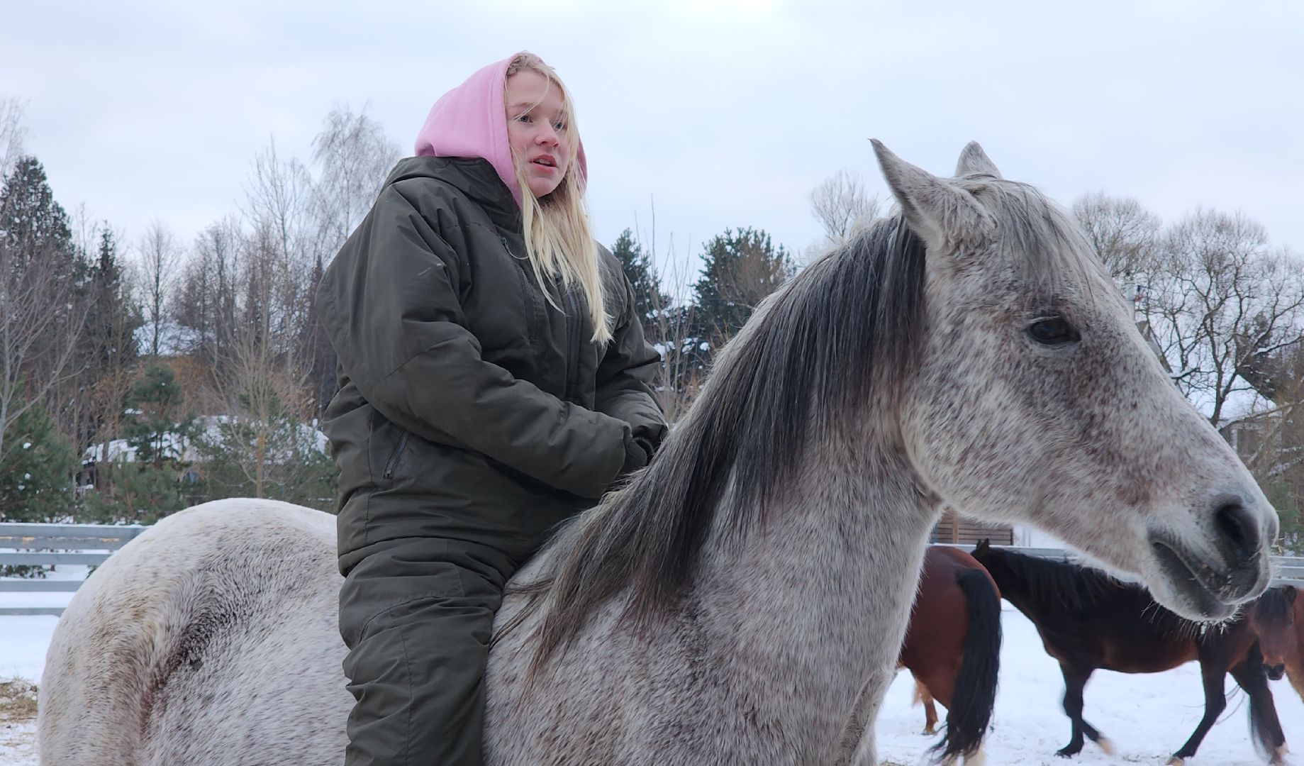 туризм в подмосковье, зимний отдых, зимняя рыбалка, конные прогулки, банный комплекс, вертикалка,