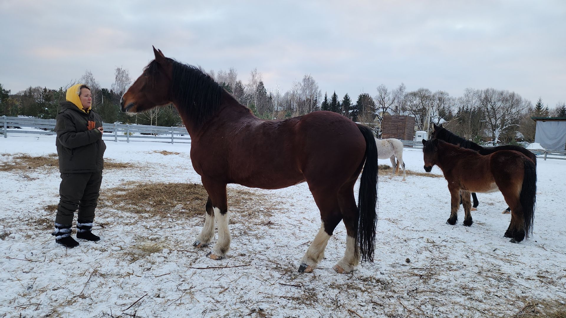 туризм в подмосковье, зимний отдых, зимняя рыбалка, конные прогулки, банный комплекс, вертикалка,