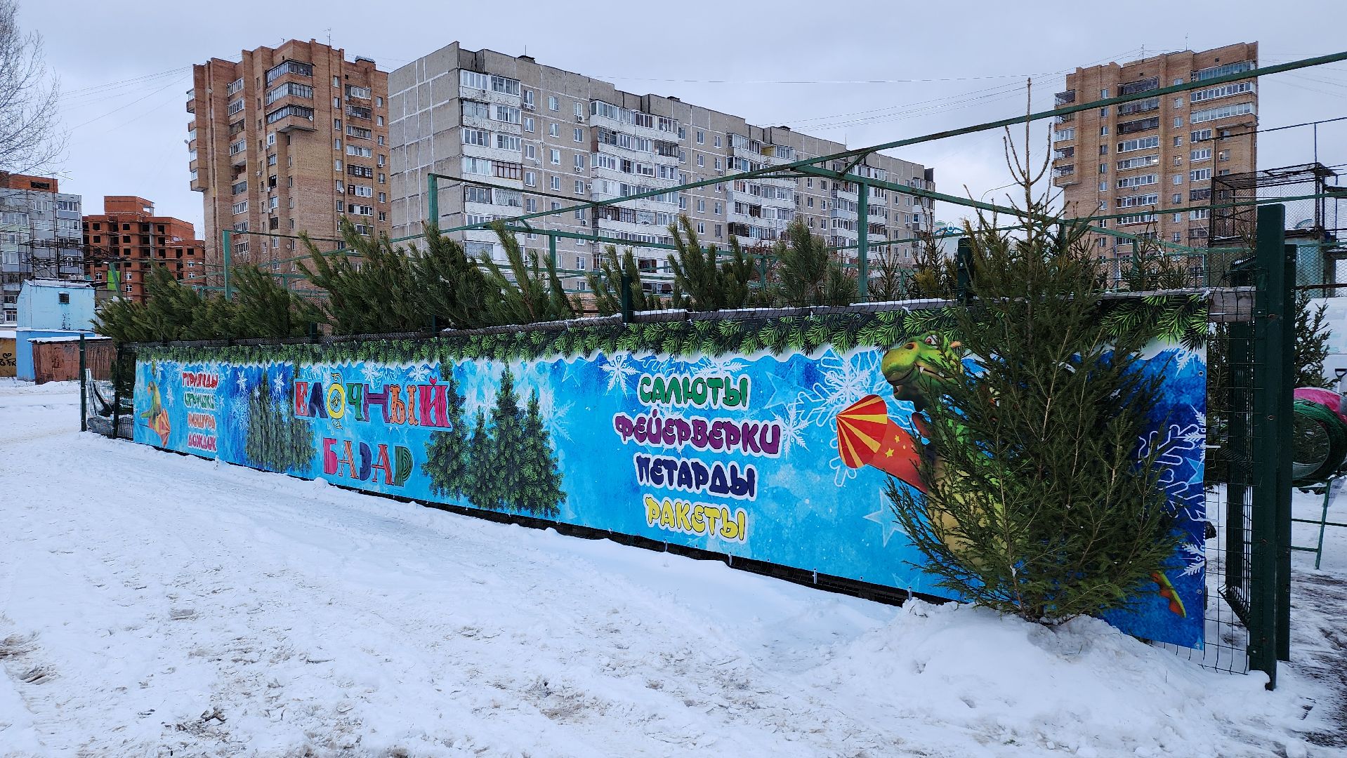 ступино, елочные базары, зима в подмосковье,