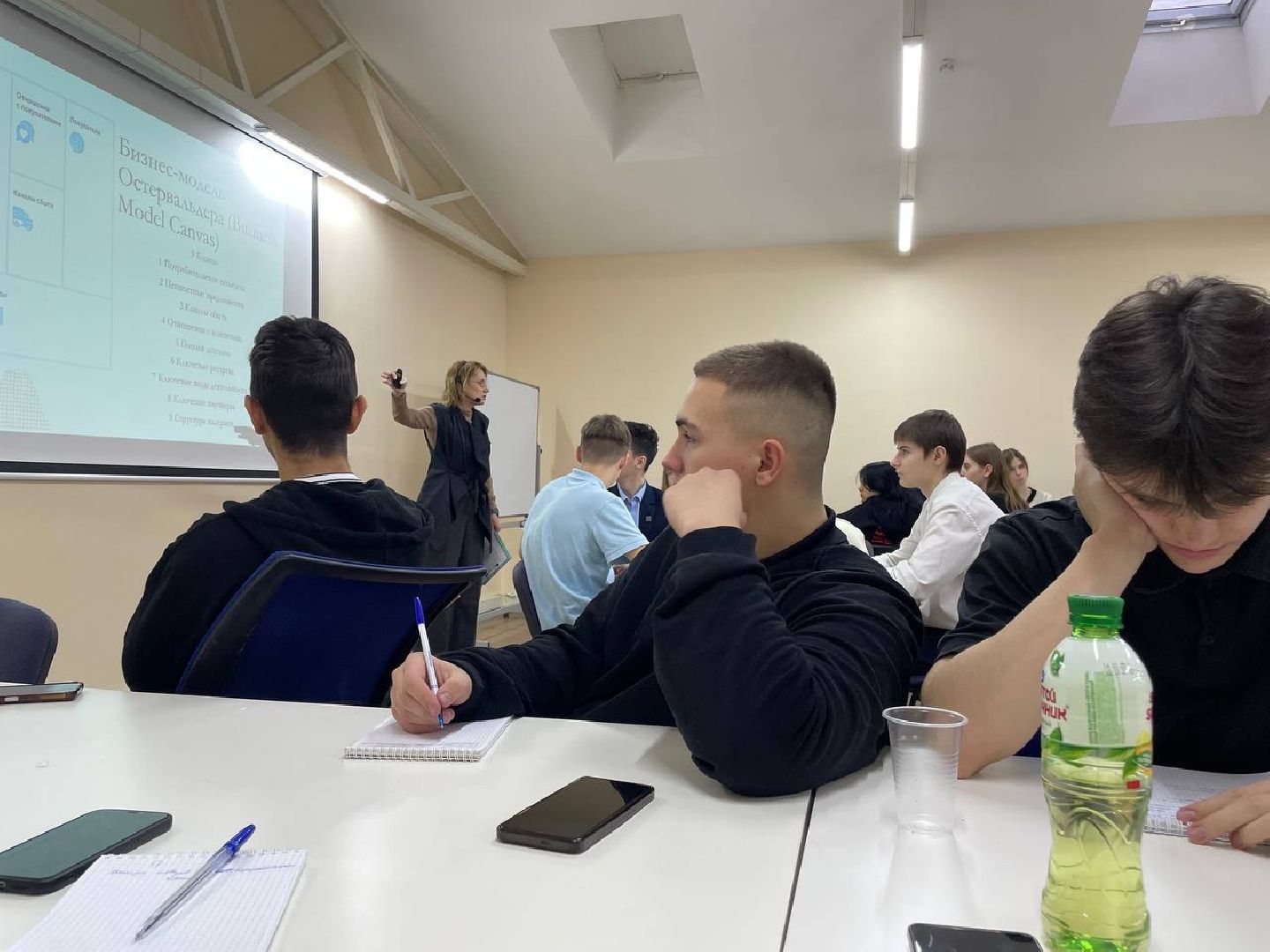 дмитров, дмтпп, минобразования, вертикалки,