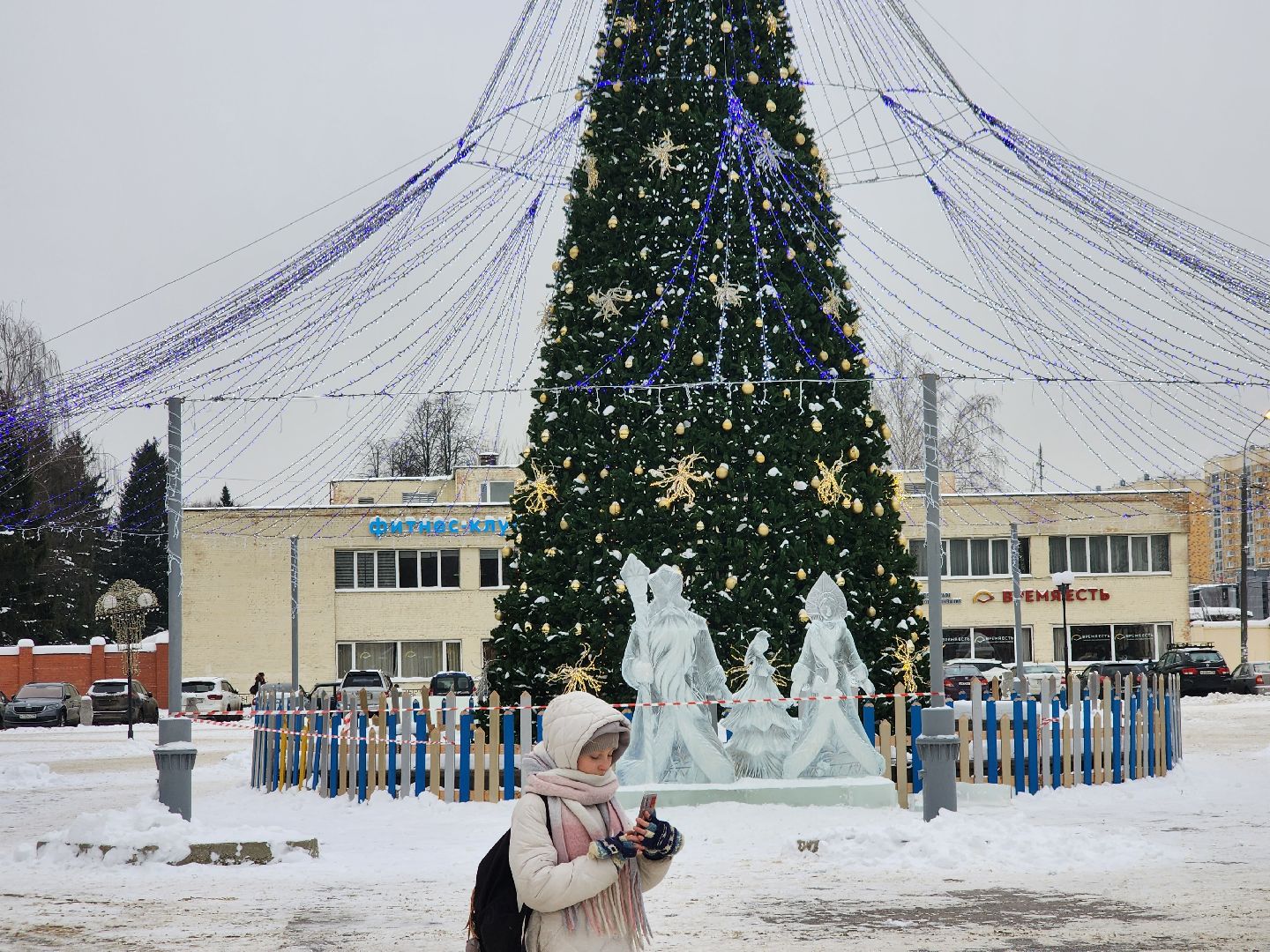 долгопрудный, площадь собина, ледяной городок, Скульптор Большаков, вертикалки,