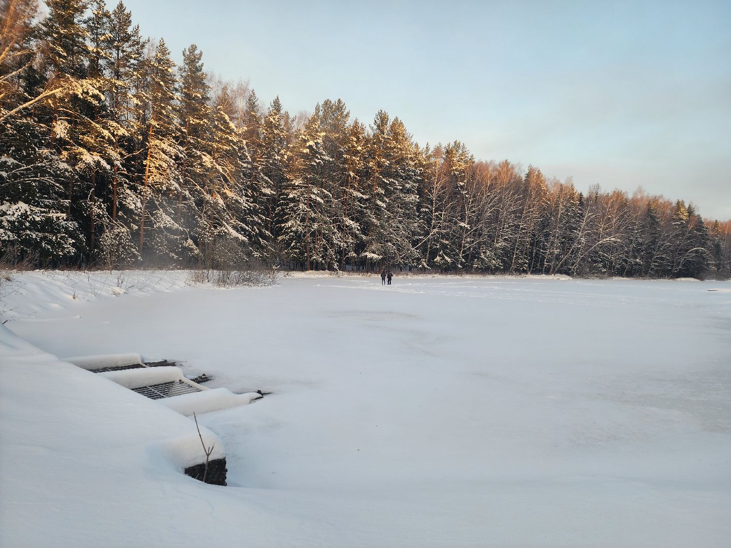 вертикалки, пушкино,