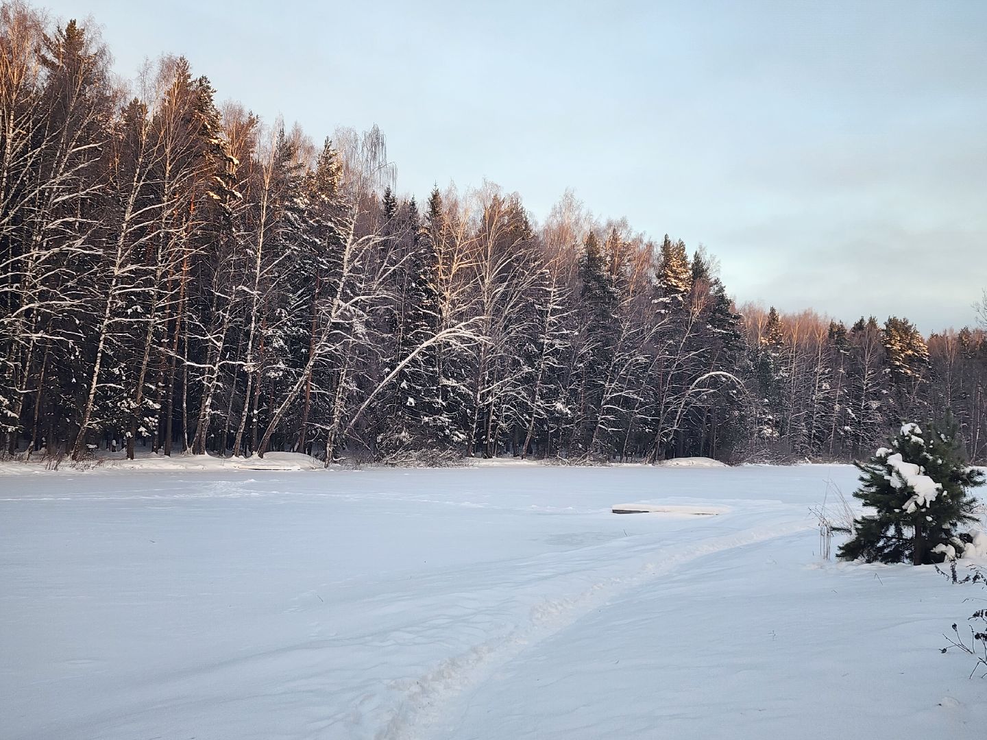 вертикалки, пушкино,