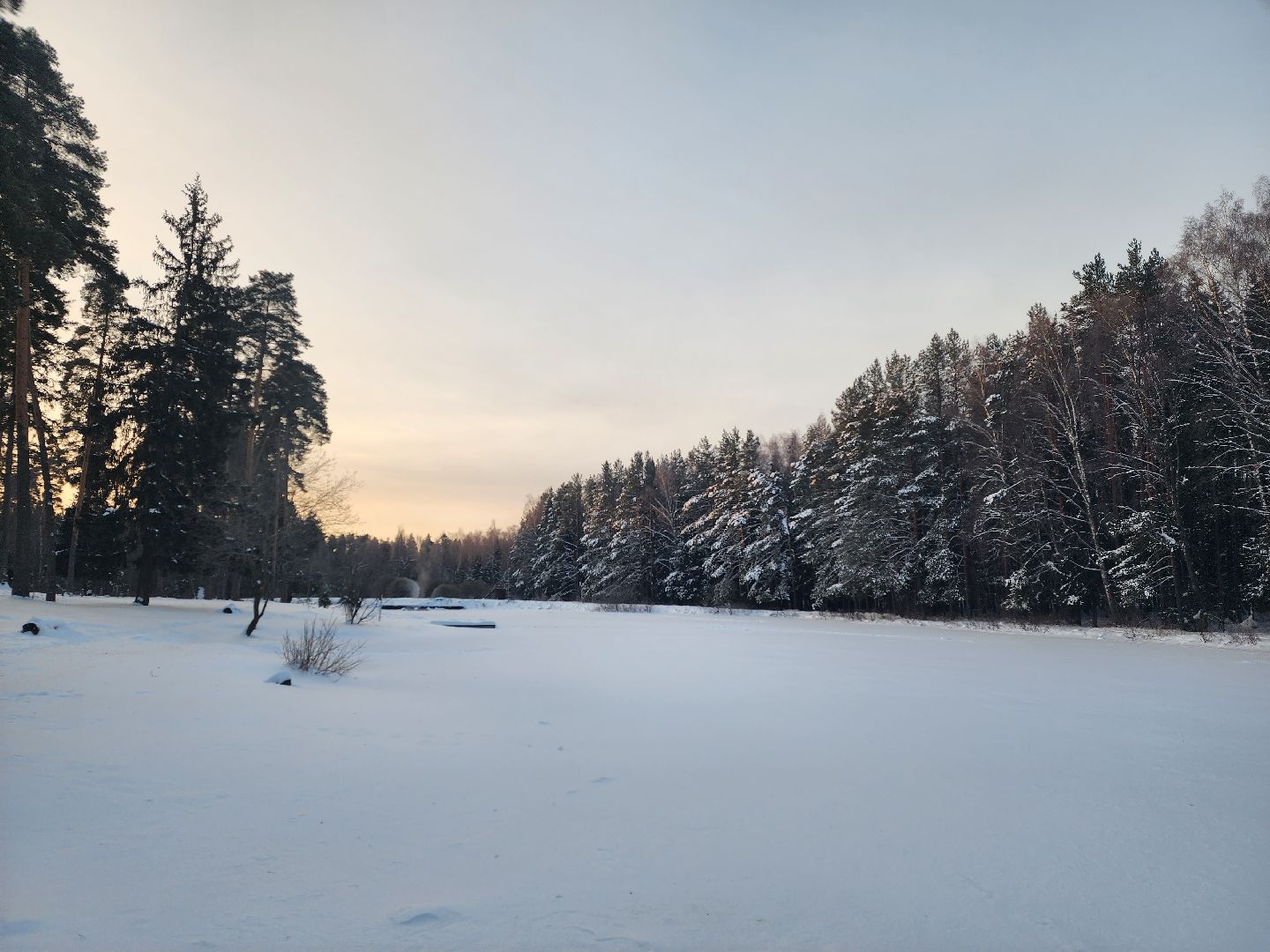 вертикалки, пушкино,