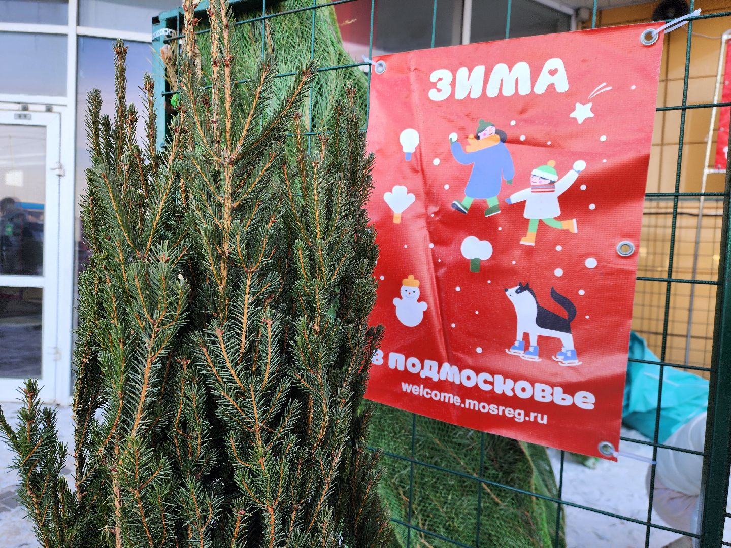 Луховицы, Елочный базар,