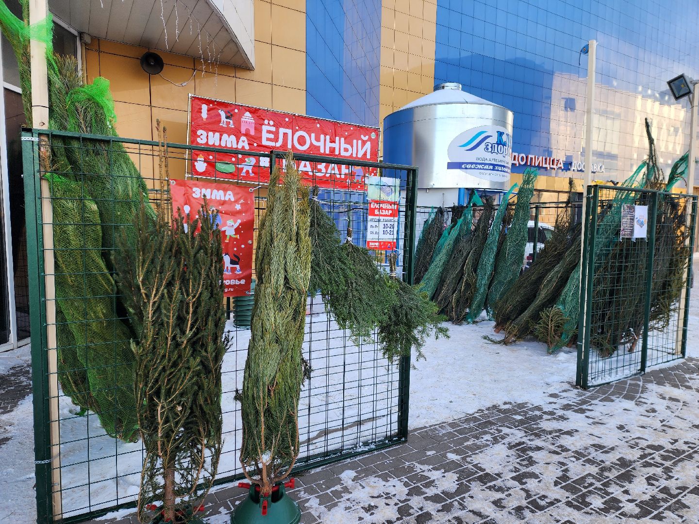 Луховицы, Елочный базар,