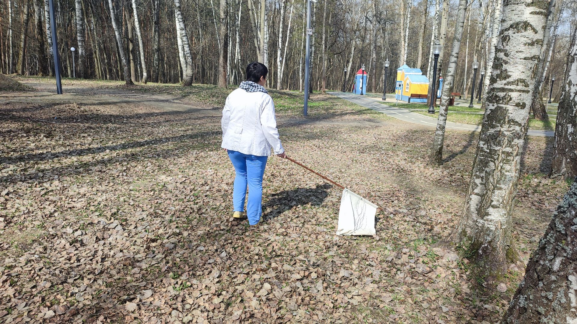 Кашира, парк, клещи, профилактика