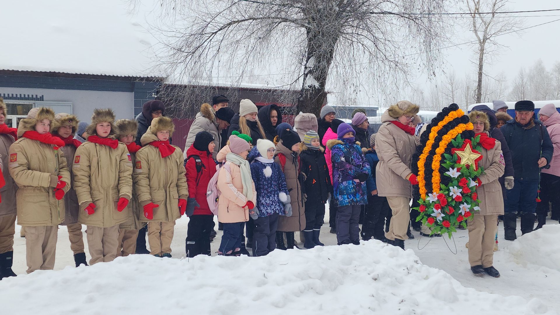 вертикалки,