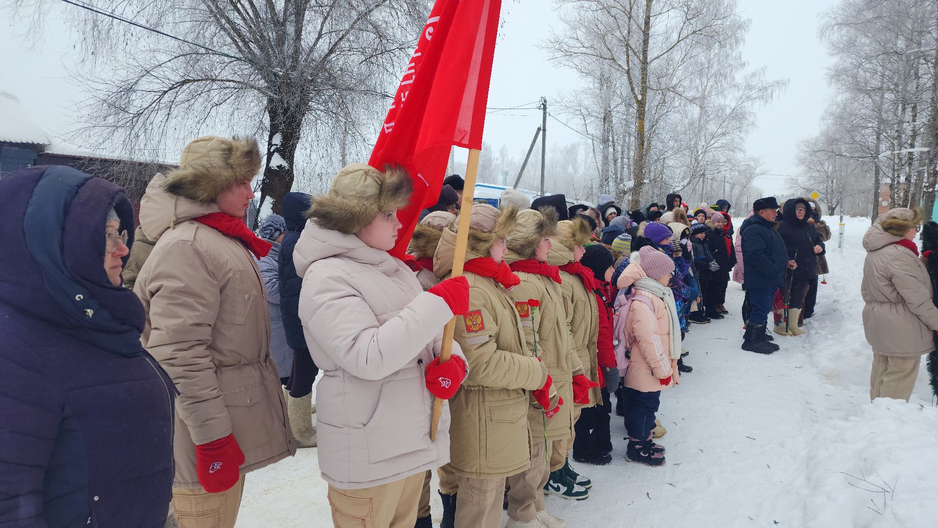 вертикалки,