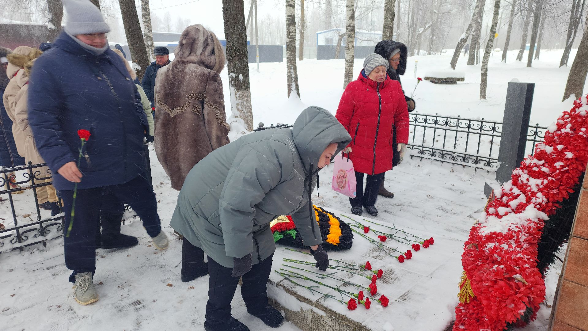 вертикалки,