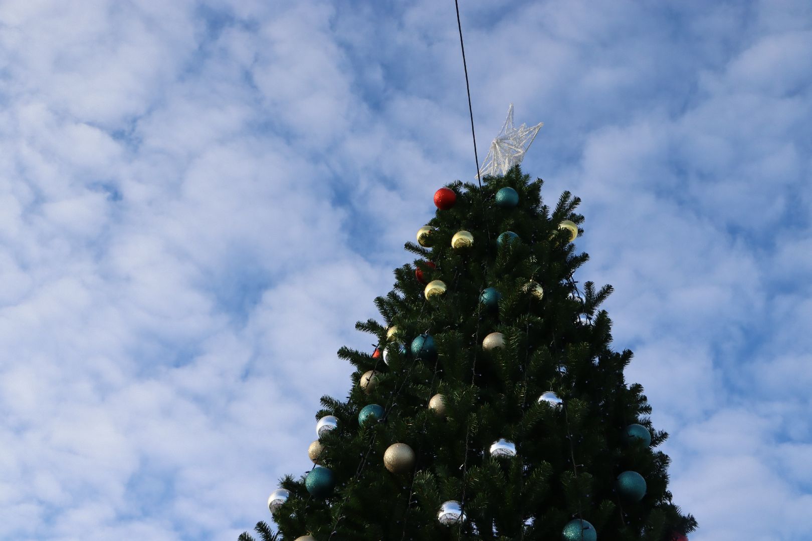 вертикалки, зима в подмосковье, парк Серебряный, Серебряные Пруды, новая елка,
