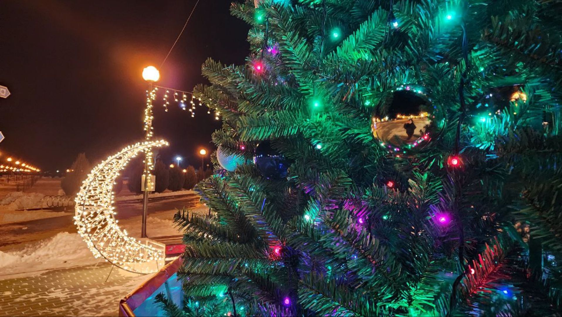 вертикалки, зима в подмосковье, парк Серебряный, Серебряные Пруды, новая елка,