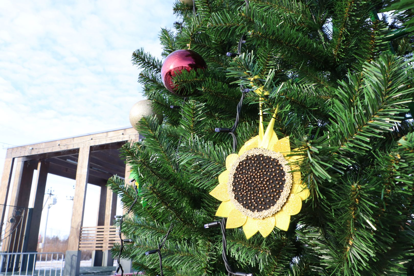 вертикалки, зима в подмосковье, парк Серебряный, Серебряные Пруды, новая елка,