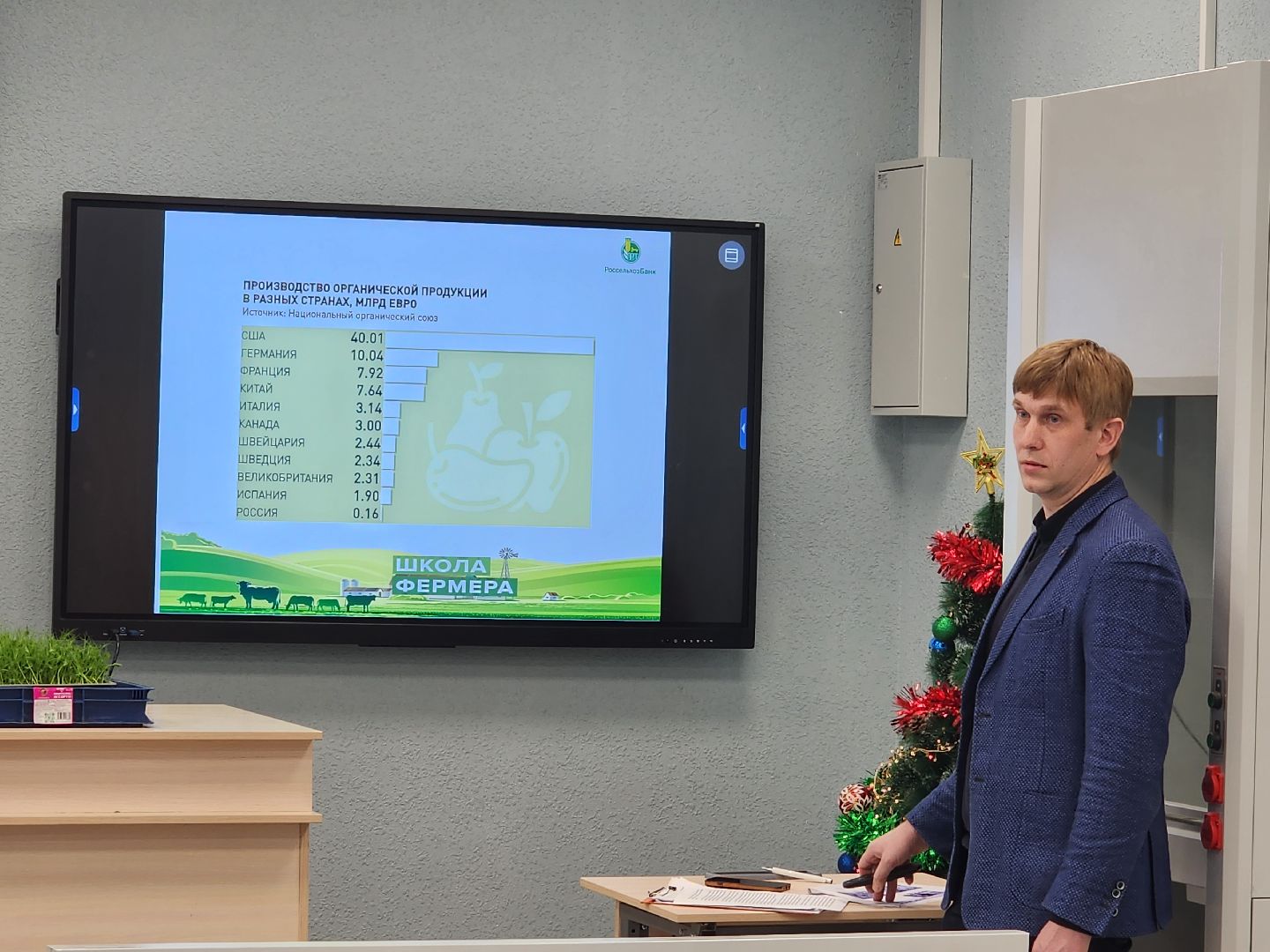 вертикалки, пушкино,