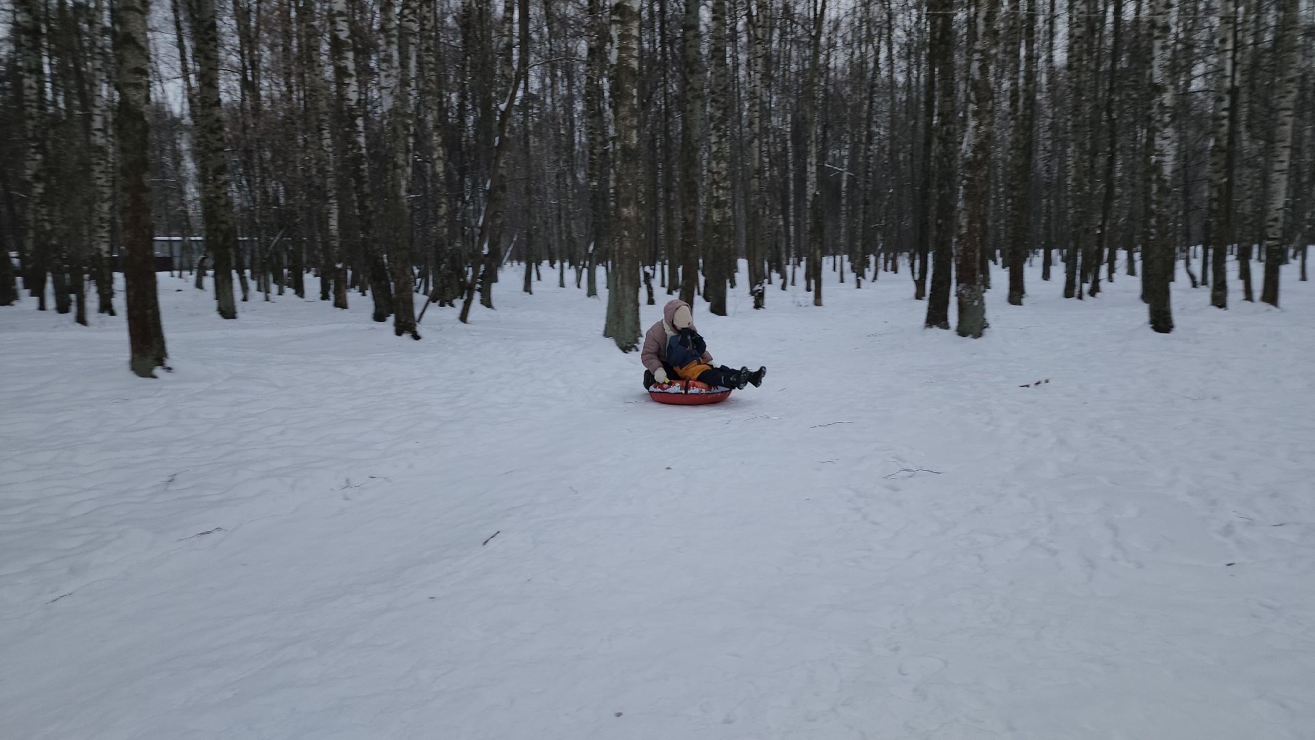 тюбинговая горка, зимние развлечения, Центральный парк, Ногинск, Богородский городской округ, вертикалки