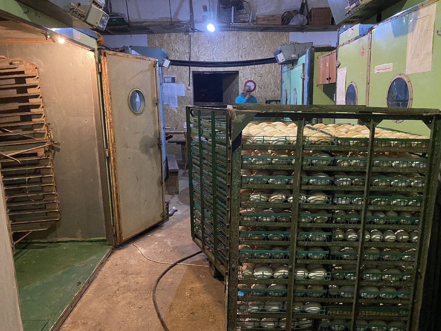 Чехов, ферма, гуси, инкубатор, яйца